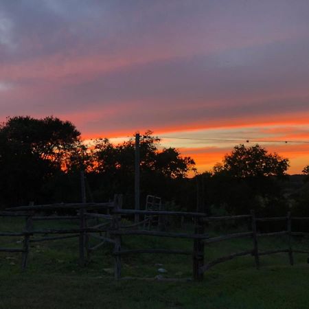 Twin Elm Guest Ranch And 2E Rv Resort Bandera Bagian luar foto